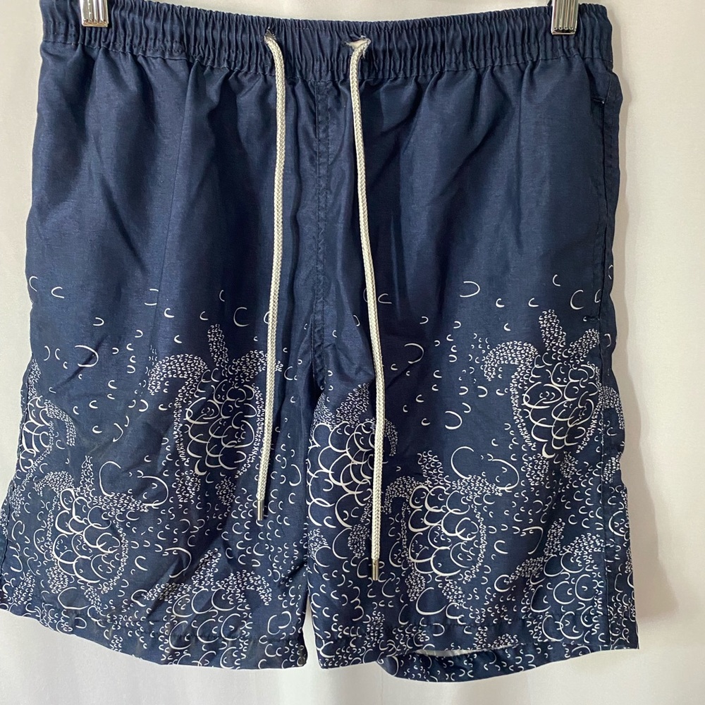 Kirkland sea turtle bathing suit